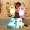 11466-9269eb.jpg peluche veilleuse Ours coloré pour enfants, 1 pièce de 50cm, jouet créatif lumineux LED
