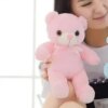 peluche lumineuse avec éclairage LED, 30cm, ours en peluche lumineux
