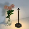 Lampe nordique Led tactile de luxe sans fil avec batterie Rechargeable