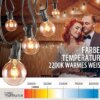 Guirlande lumineuse de fête, 25 pieds, G40, en tungstène