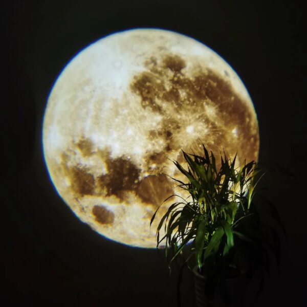 veilleuse Projecteur Led étoilé 2 en 1, support rotatif à 360 °