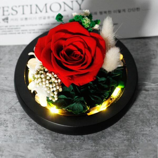 22122-85f7c7.jpg Veilleuse Rose éternelle en verre breton avec lumières