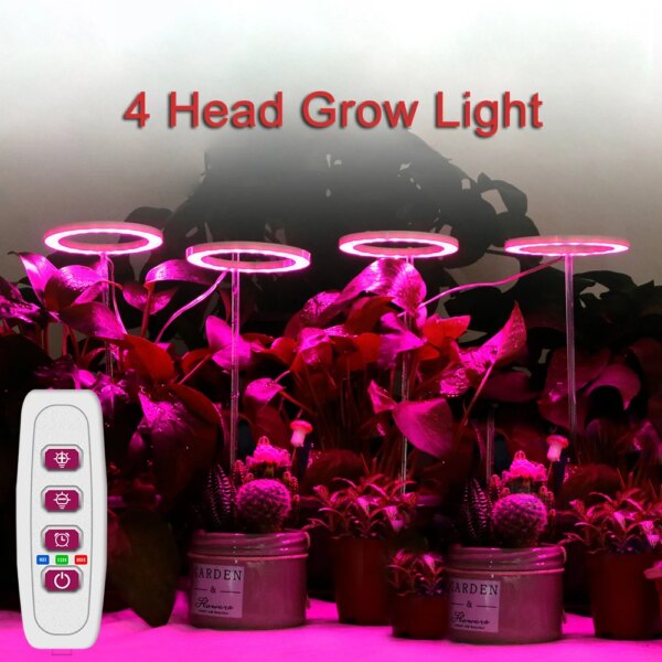 veilleuse LED de croissance à 4 têtes