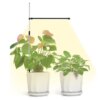 Lampe LED de croissance pour plantes d'intérieur, USB, spectre complet