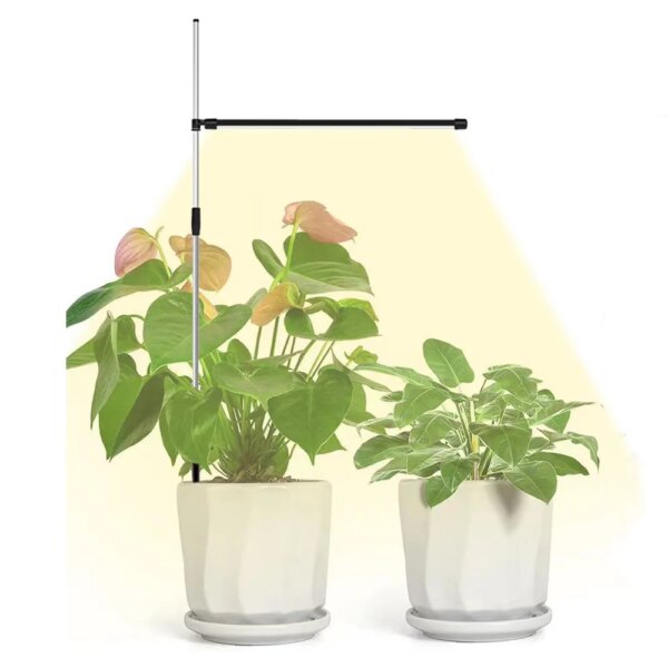 Lampe LED de croissance pour plantes d'intérieur, USB, spectre complet