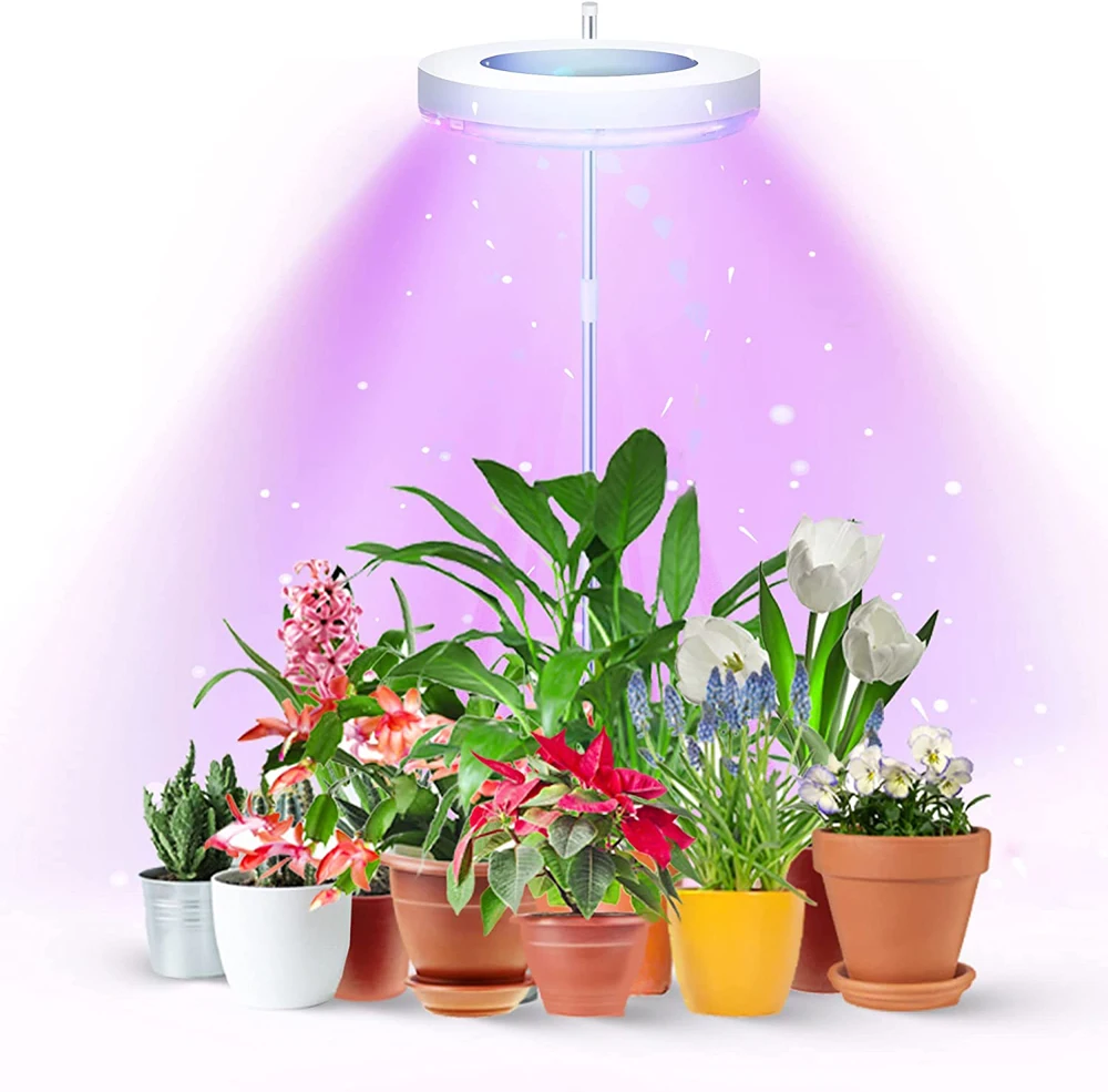 Lampe croissance veilleuse adulte — Lampe Led de croissance pour plantes d'intérieur, bande lumineuse à spectre complet | belleveilleuse.fr