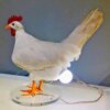 Lampe LED œuf de poule, ornements de bureau, coq, veilleuse pour chambre à coucher, salon, fête nordique, accessoires de décoration pour la maison