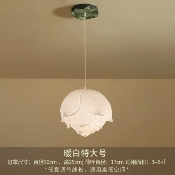 4068-141ecd.jpg Suspension suspendue