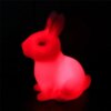 4632-786217.jpg Veilleuses lapin pour enfants colorées en forme