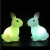 4632-fff275.jpg Veilleuses lapin pour enfants colorées en forme