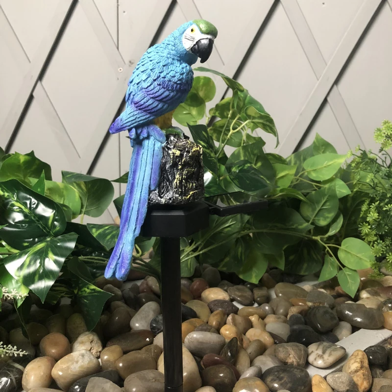 blue parrot