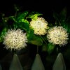 Lampe solaire Led en forme de fleur de pissenlit