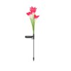 Lampe solaire Led de jardin féerique