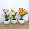 Lampe LED en forme de tulipe, pot de fleurs, plante en pot